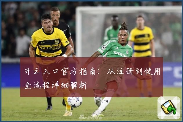 开云入口官方指南：从注册到使用全流程详细解析