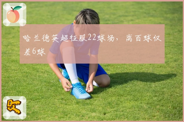 哈兰德英超征服22球场，离百球仅差6球